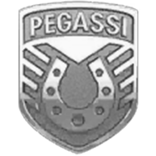 Pegassi